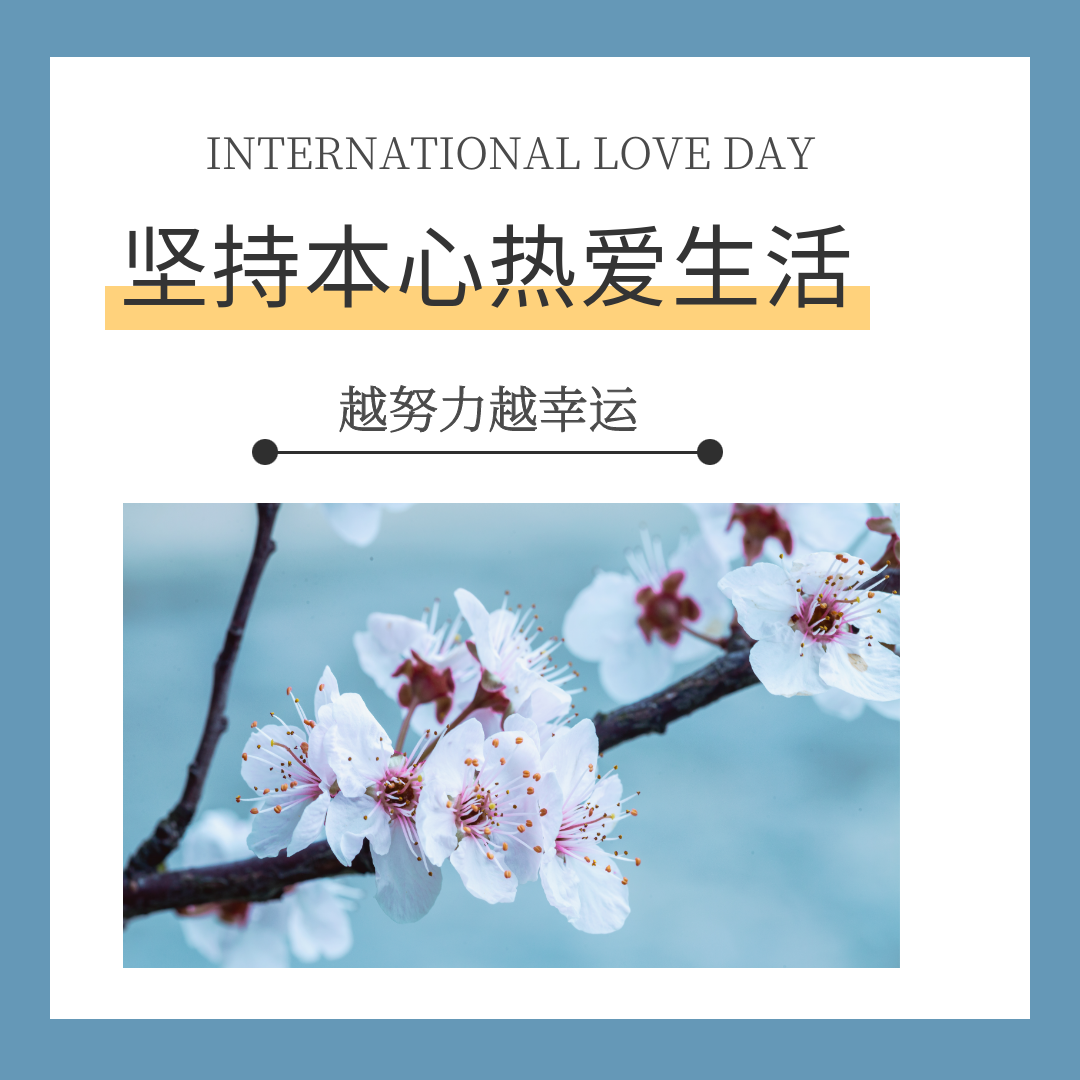 智扬星海-赋能网络IT科技魅力的知识社区