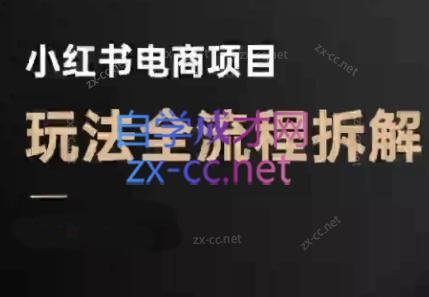 『精品课程』菲菲老师·小红书电商玩法『更新9月』-智扬星海