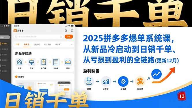 『精品课程』2025拼多多爆单系统课，从新品冷启动到日销千单、从亏损到盈利的全链路(更新12月-智扬星海