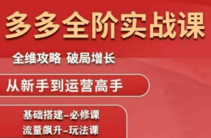『精品课程』大炮·拼多多全阶实战课程『更新10月』-智扬星海
