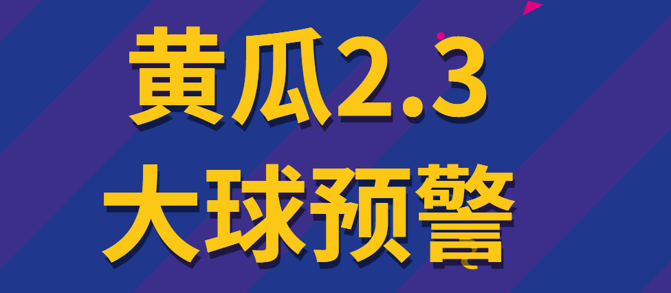 『精品软件』外面收费1980的黄瓜2.3足球下半场预警系统新版算法优化更准更稳定！-智扬星海